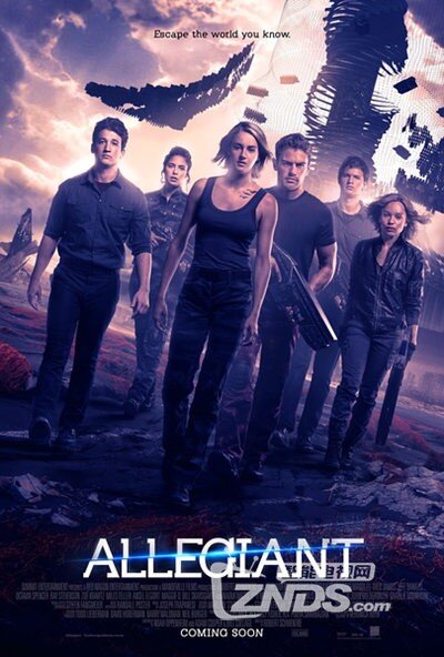 巷弄深處的影視寶藏，電影搶先版探秘