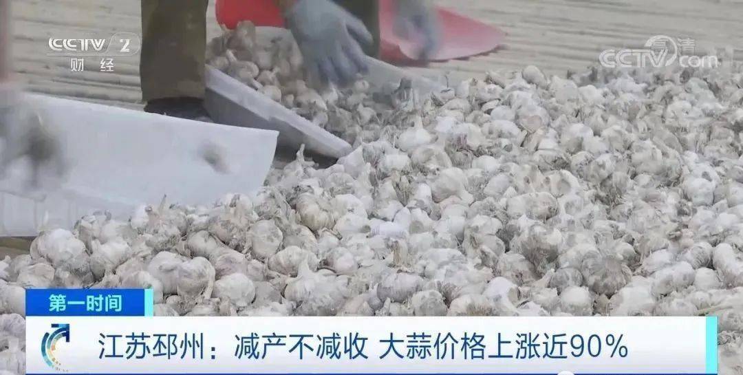邳州大蒜今日行情更新，新鮮市場(chǎng)動(dòng)態(tài)解析