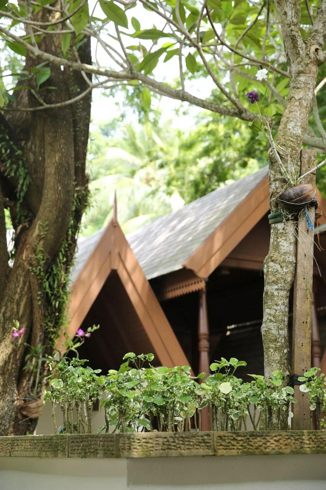 明星sl的溫馨日常，愛與陪伴的力量