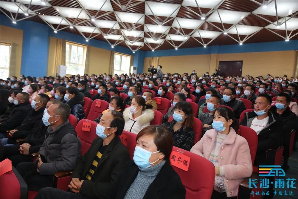 雨花區(qū)跳馬最新資訊，小巷深處的獨(dú)特風(fēng)味探索