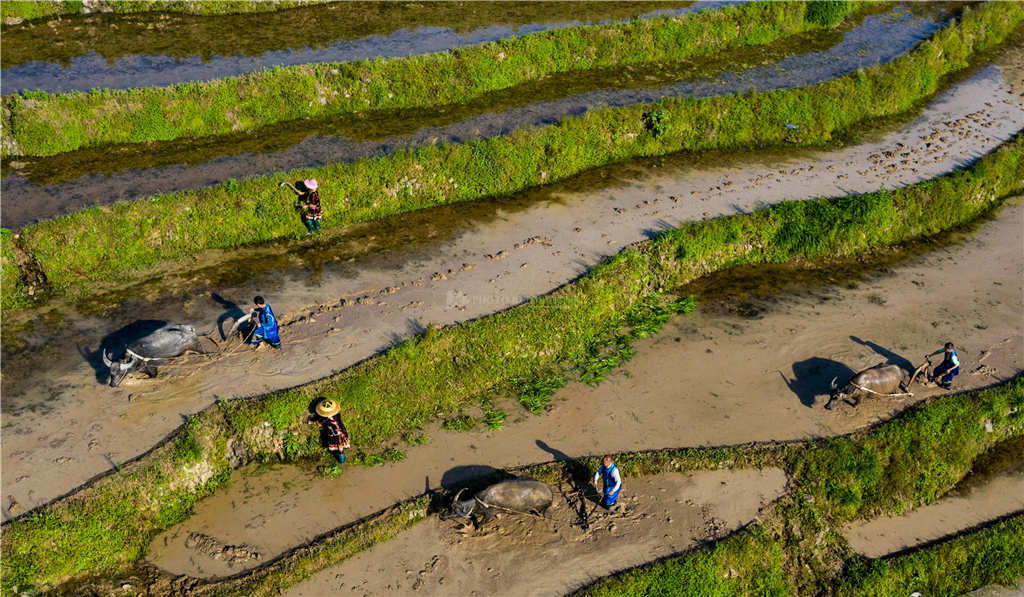 女人的地男人犁最新章節(jié),女人的地男人犁最新章節(jié)，探索現代兩性關系的深度發(fā)展