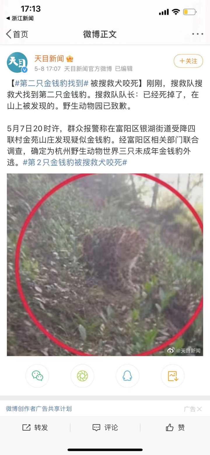 承德新聞快訊，多元視角下的觀察與解讀今日更新