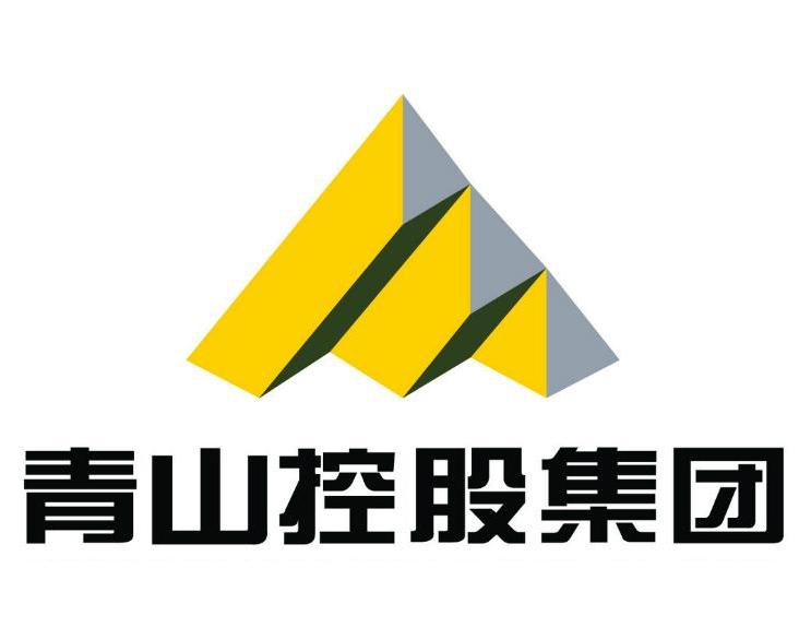 青山控股是否上市？解析其上市計(jì)劃與現(xiàn)狀