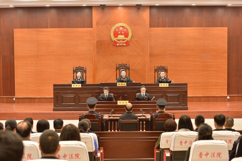 季緗綺副省長(zhǎng)最新動(dòng)態(tài)揭秘，日常趣事與深厚友情展現(xiàn)風(fēng)采