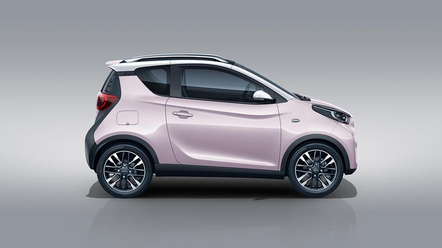 國家阻止螞蟻上市背后的原因，聚焦自然美景探索