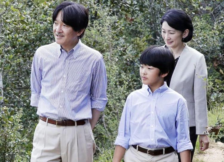 妯娌之間電視劇全集,妯娌之間，電視劇的全集解析與深度回顧