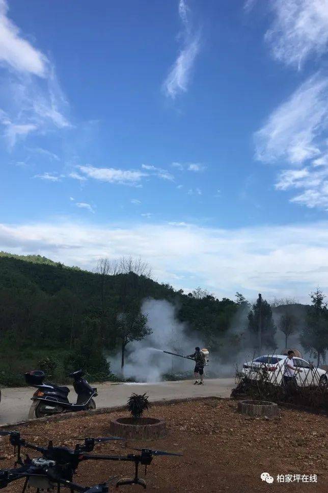 最新蝗蟲(chóng)災(zāi)害動(dòng)態(tài),最新蝗蟲(chóng)災(zāi)害動(dòng)態(tài)，應(yīng)對(duì)與防治的詳細(xì)步驟指南