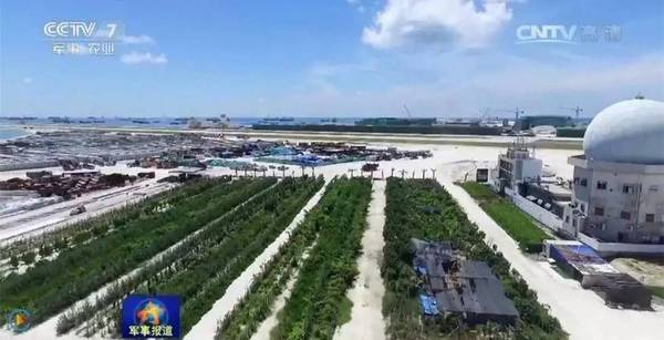 南沙島礁建設(shè)最新進(jìn)展揭秘，南沙建設(shè)進(jìn)展圖片探秘與小巷深處的神秘寶藏