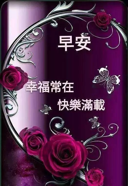 微信電腦版更新指南，詳細(xì)步驟教程