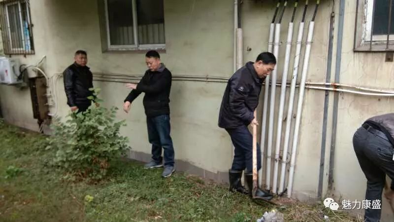 草社區(qū)最新動(dòng)態(tài)，友情綠意下的愛(ài)與陪伴的種子生根發(fā)芽