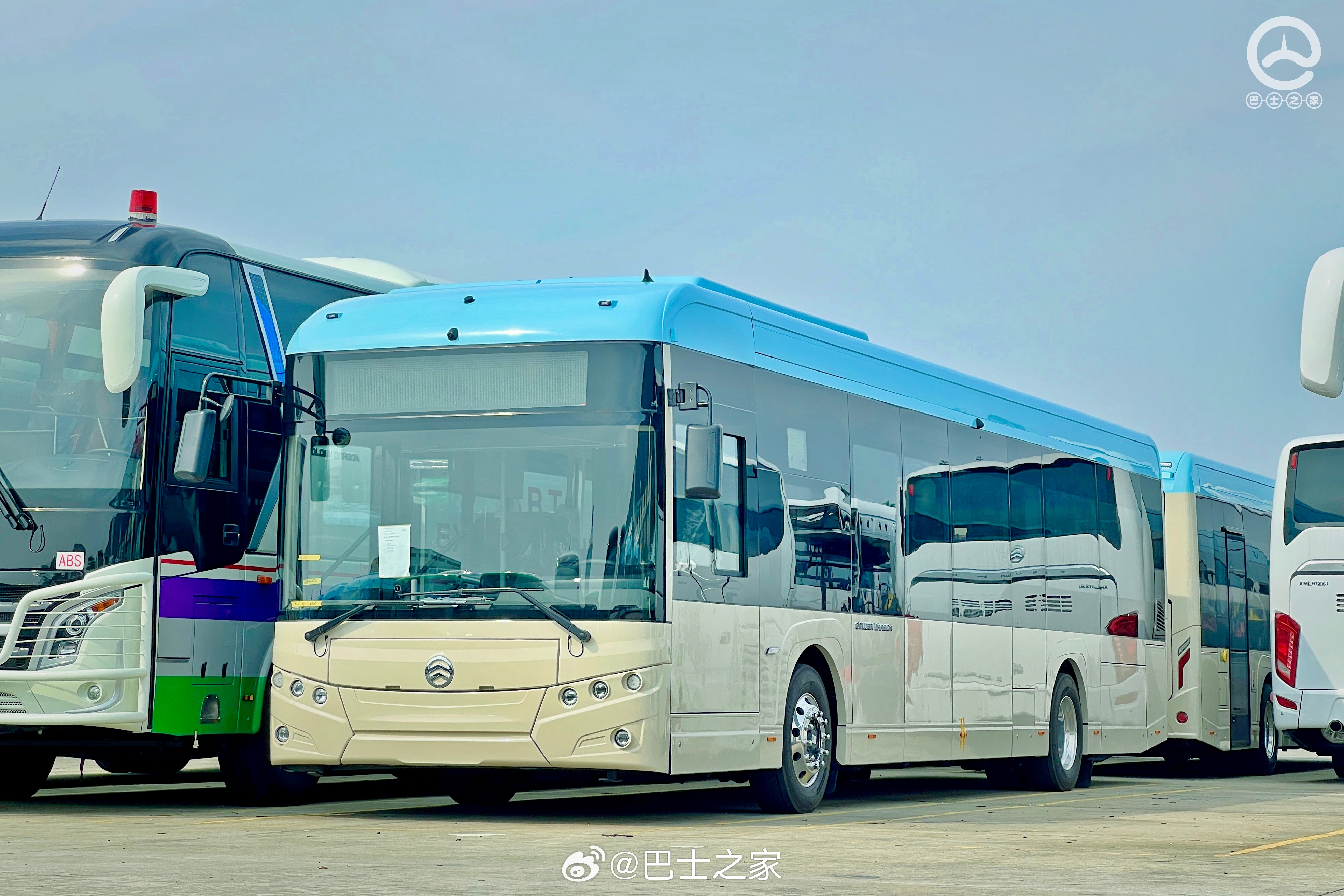 最新海豐車型推薦，精選多款熱門車型任你選！