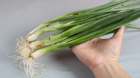 隆化新鮮資訊,隆化新鮮資訊，高科技產(chǎn)品引領(lǐng)未來，體驗前所未有的智能生活