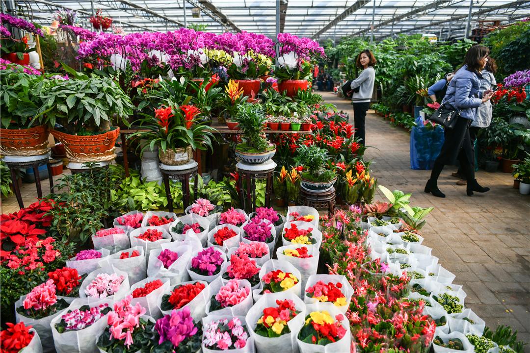 科技引領(lǐng)下的花卉市場(chǎng)新紀(jì)元，各種鮮花批發(fā)價(jià)格解析