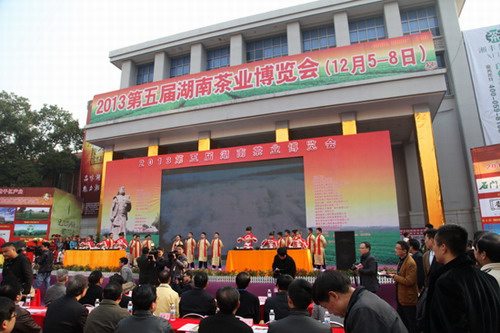 陳社強最新動態(tài)揭秘，最新進展與活動報道??