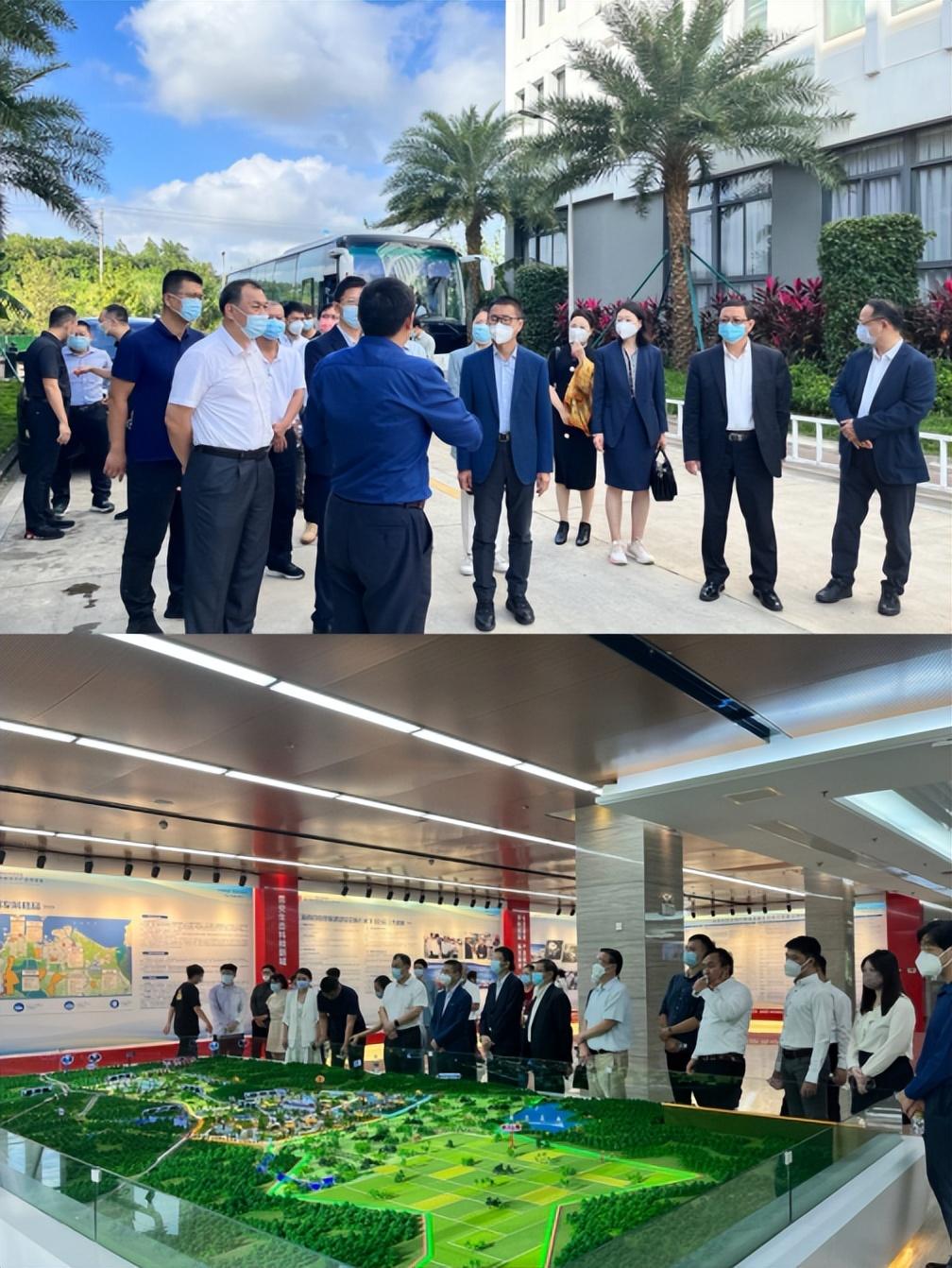 今晚澳門9點35分開什么,實地觀察數(shù)據(jù)設計_溫馨版30.339