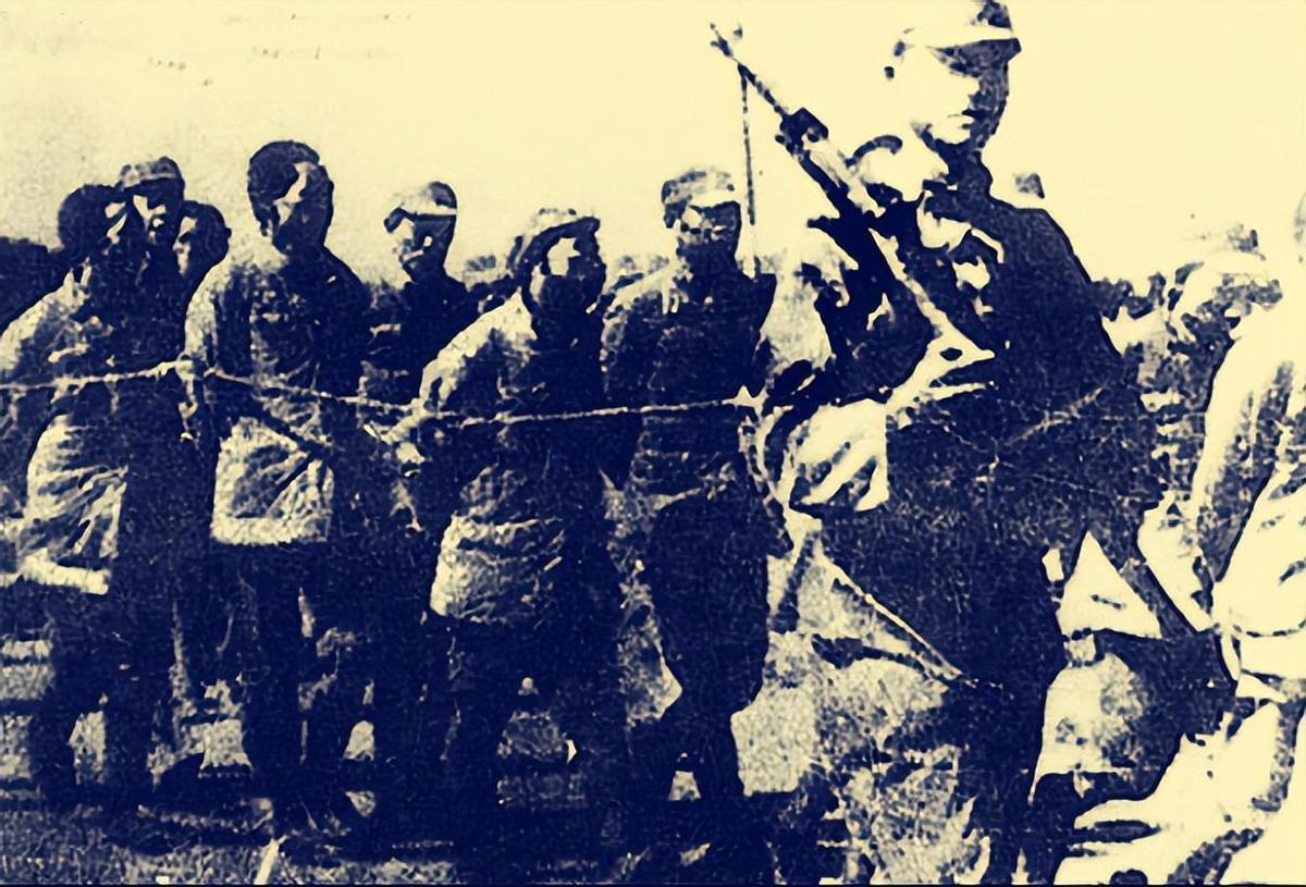 最新抗戰(zhàn)電視劇，小巷深處的戰(zhàn)爭(zhēng)故事與特色小店揭秘