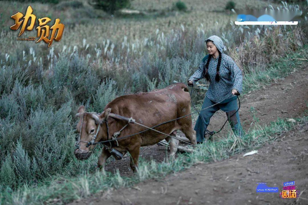 申紀蘭演員表制作指南，從初學(xué)者到進階用戶的步驟參考