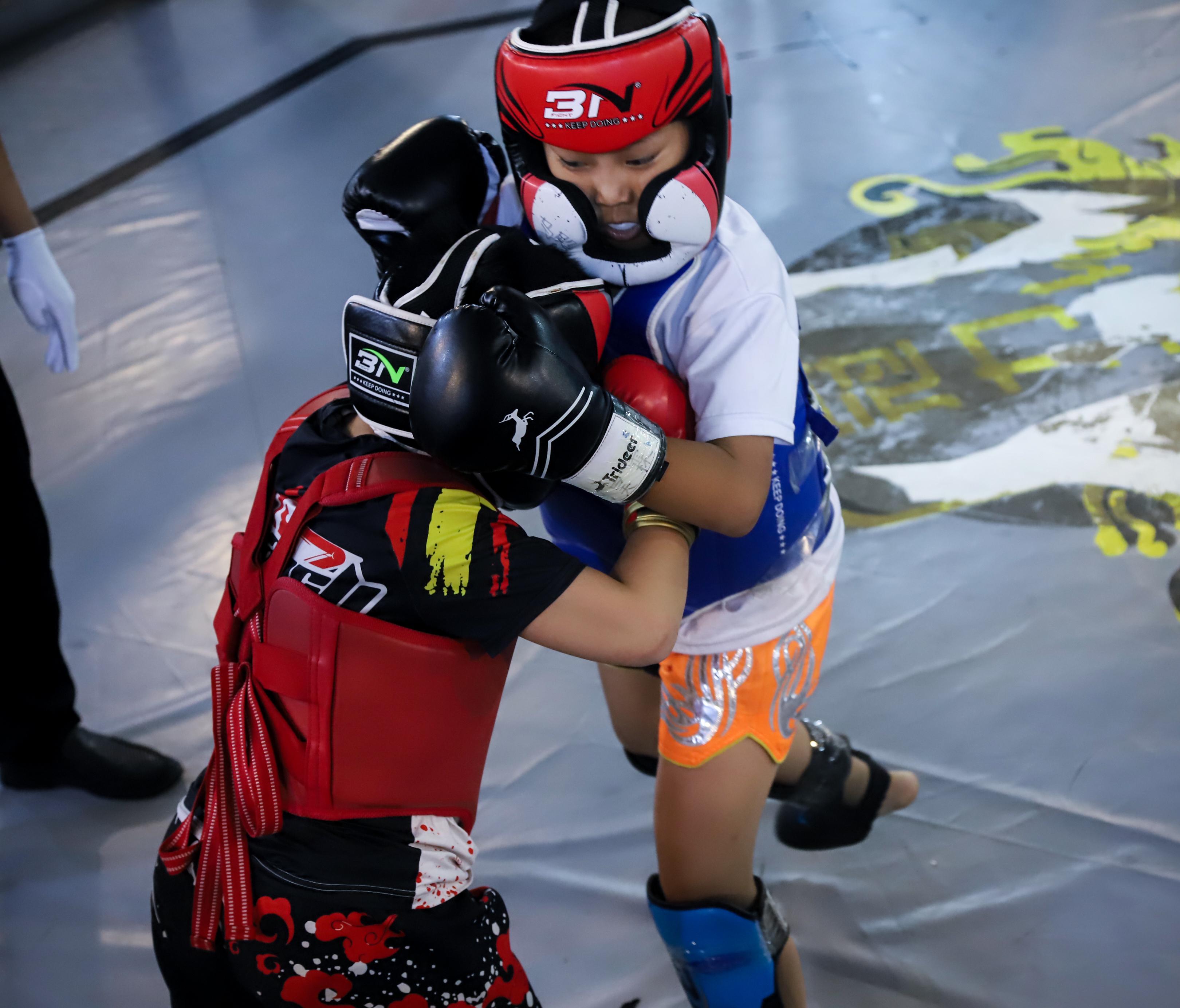 青少年搏擊比賽，熱血青春的榮耀戰(zhàn)場對決