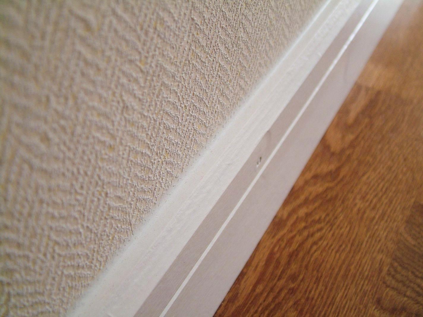 溫馨日常與友情紐帶，愛與陪伴的溫馨故事