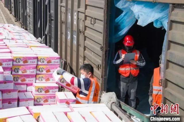 探秘小巷深處的獨特風味，大蒜特色小店今日資訊速遞