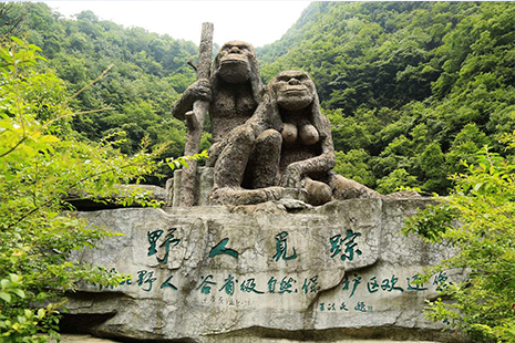 神農(nóng)架景區(qū)門票價(jià)格詳解，全方位了解門票費(fèi)用