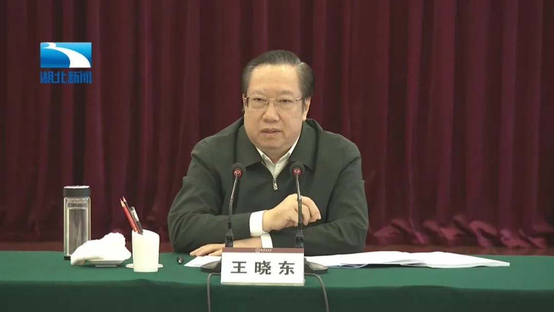 都市放牛演員王曉東，演技與多維影響力的深度解讀