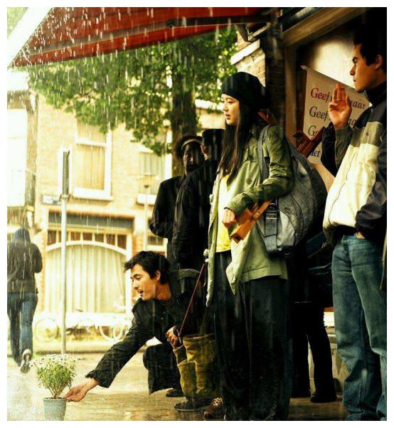 韓國電影雛菊，與自然美景的對話之旅，探尋內(nèi)心平和與喜悅的旅程