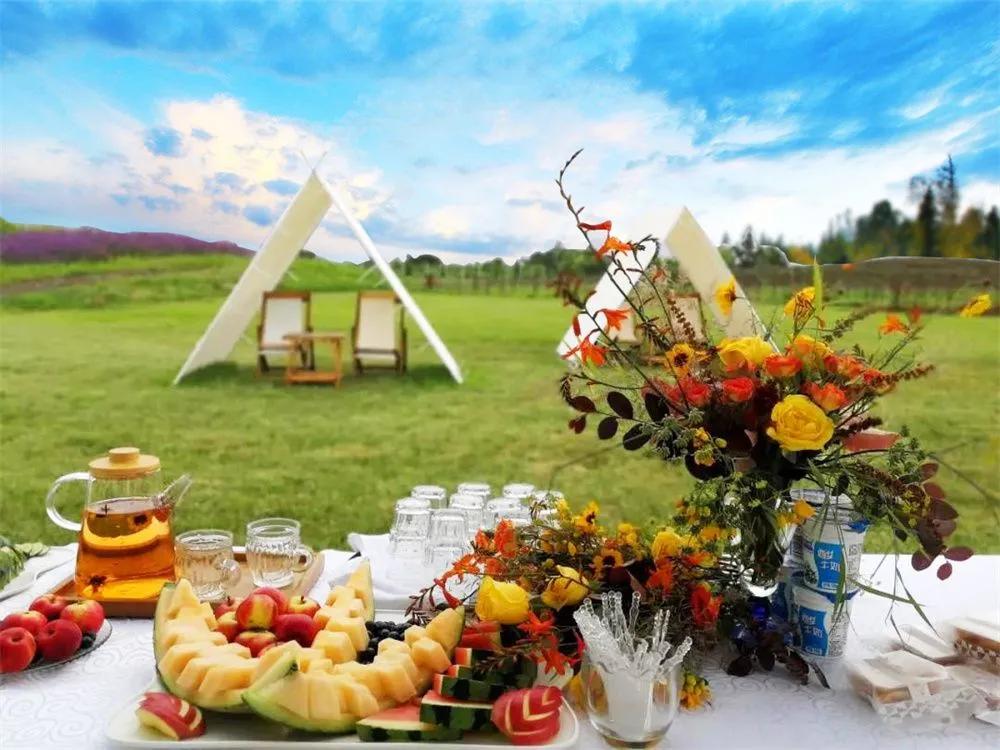 逢實(shí)螢資訊深度解析，影響及前景展望