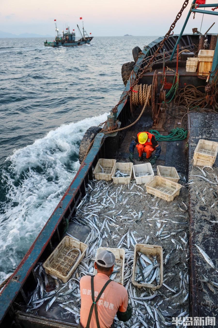 關(guān)于大型捕魚船價(jià)格的探討，以50米捕魚船為例的價(jià)格解析