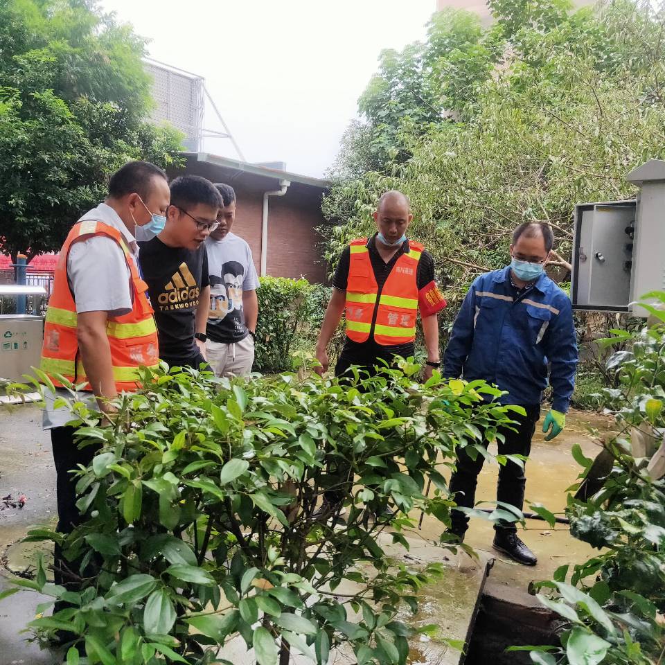 成都環(huán)保檢查動態(tài)更新，持續(xù)環(huán)境治理行動進展報告