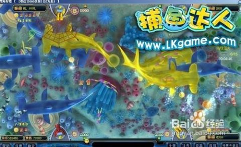 掌握最新捕魚技巧，輕松成為捕魚達(dá)人！