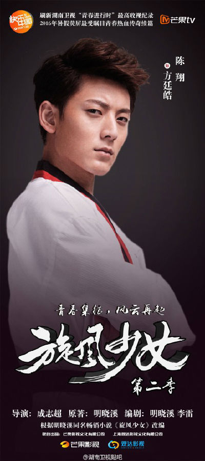 旋風(fēng)少女2演員表深度解析，角色與演員匹配度探究