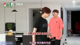 金俊昊，音樂(lè)巨星的崛起與深遠(yuǎn)影響