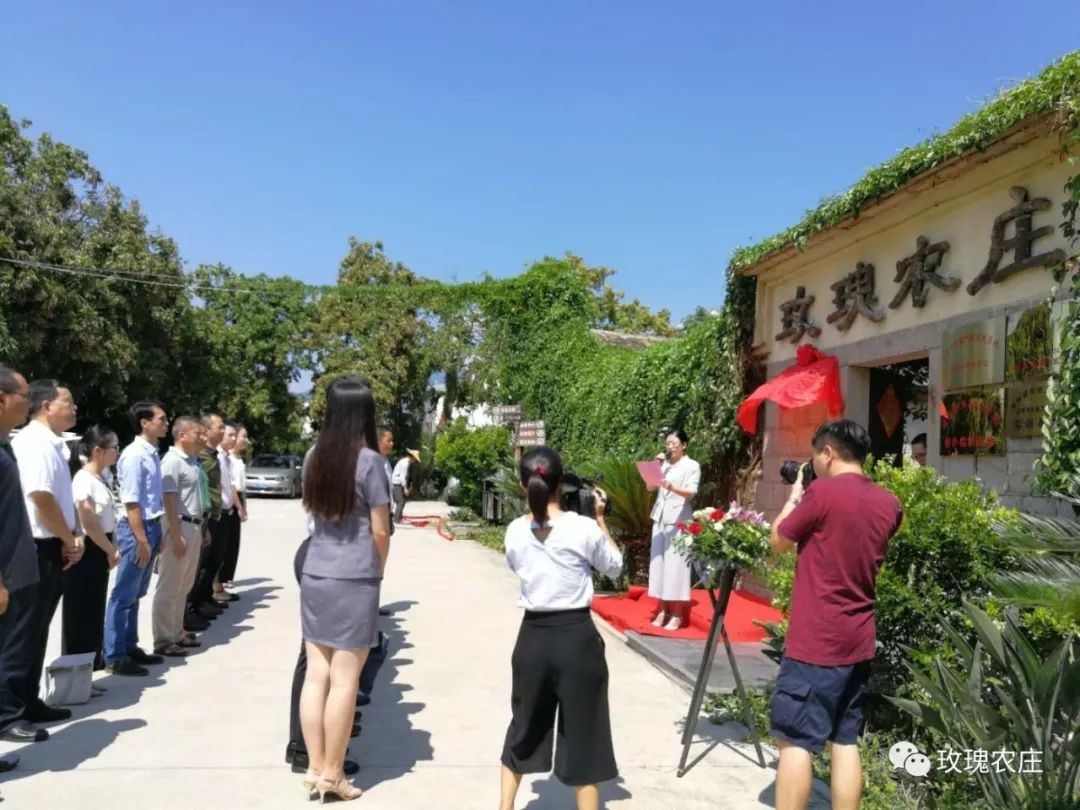 長(zhǎng)泰人才網(wǎng)古農(nóng)農(nóng)場(chǎng)最新職位招聘大揭秘，小巷深處的特色小店等你來(lái)探索！