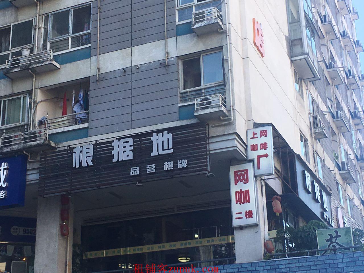 成都茶坊轉(zhuǎn)讓信息詳解，深度探討與觀點闡述