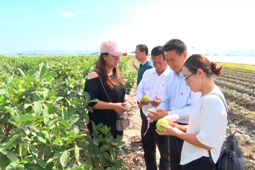 58同城海豐最新職位招聘，與自然美景同行，尋找內(nèi)心的平和寧靜之旅