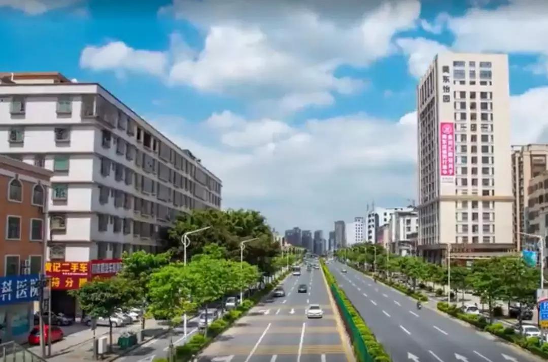 揭西生豬今日價格,揭西生豬今日價格全面解析，新鮮資訊一探究竟！????