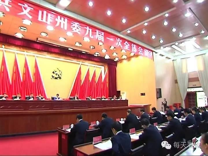 文山納杰最新動態(tài)揭秘，溫馨有趣的日常故事更新啦！