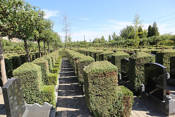 北京墓地價(jià)格指南，如何選購與購買墓地？