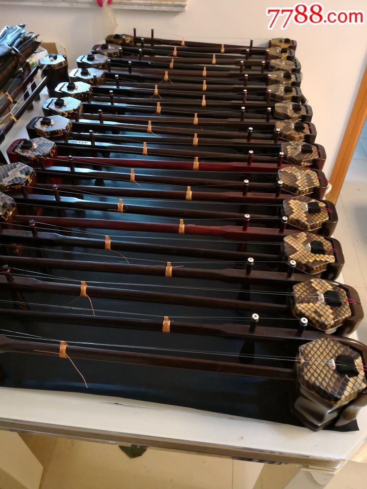 二胡價(jià)格表圖片揭秘，小巷深處的音樂寶藏探索