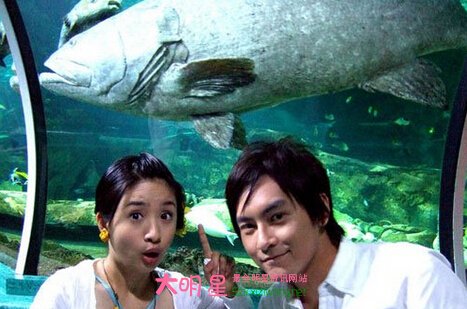 甜蜜再戀演員陣容列表