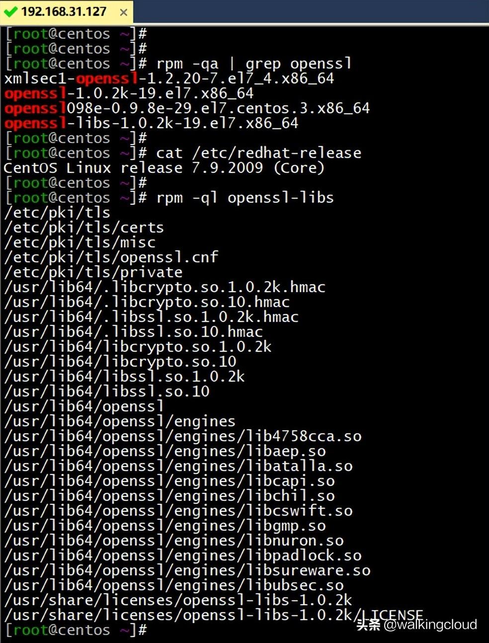 CentOS最新版，引領(lǐng)時(shí)代技術(shù)革新