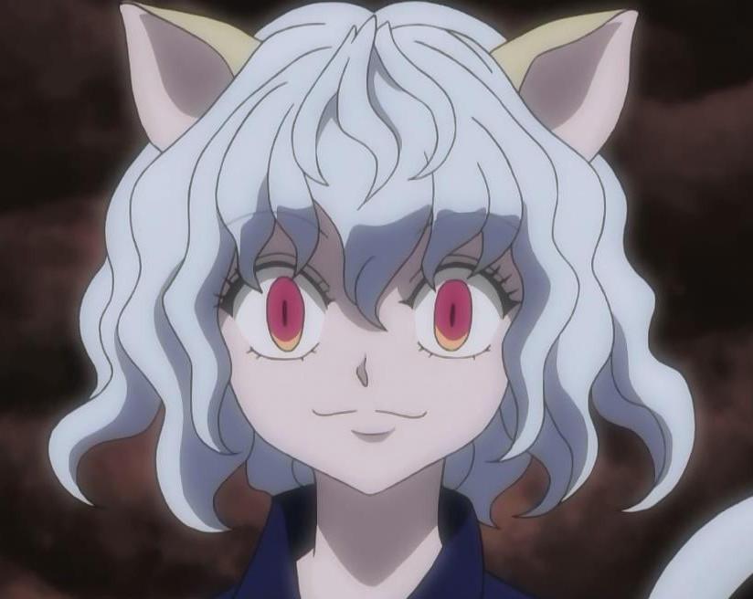 貓人動(dòng)漫，探索二次元世界的獨(dú)特魅力之旅