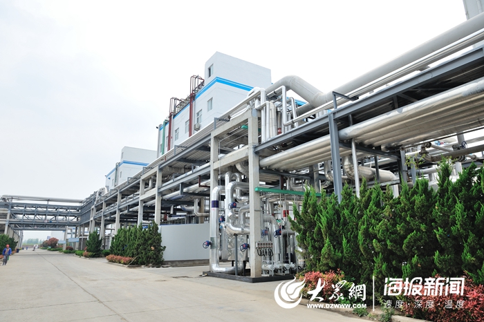 定陶賽托生物上市，變化中的學(xué)習(xí)成就自信與輝煌