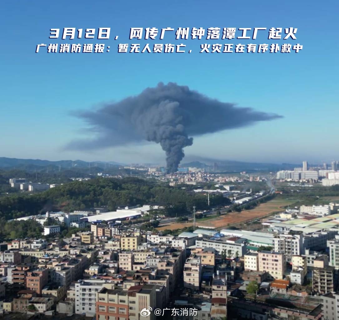 端州火災(zāi)最新情況及分析報告