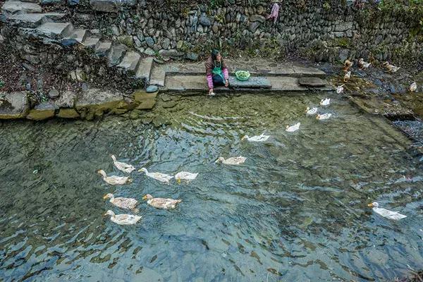 丁志華，閃耀光芒，引領(lǐng)時代新潮流