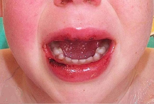 冠肺最新通報(bào)，自然美景探索之旅的心靈寧?kù)o之旅