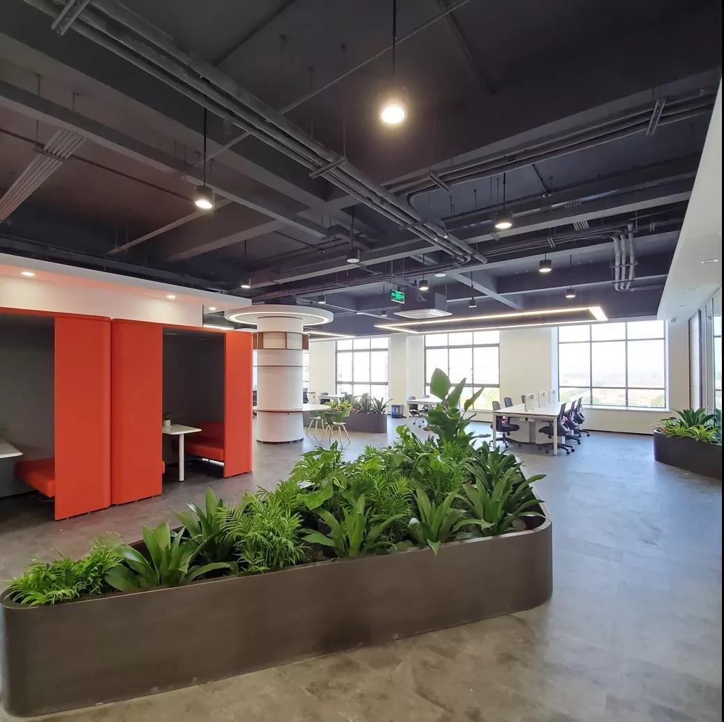 最新申報(bào)導(dǎo)師制度，利弊分析與個(gè)人觀點(diǎn)探討