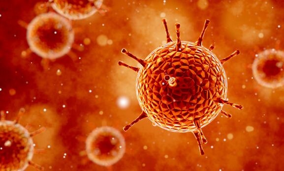 揭秘最新版病毒，背景、重大事件及其影響