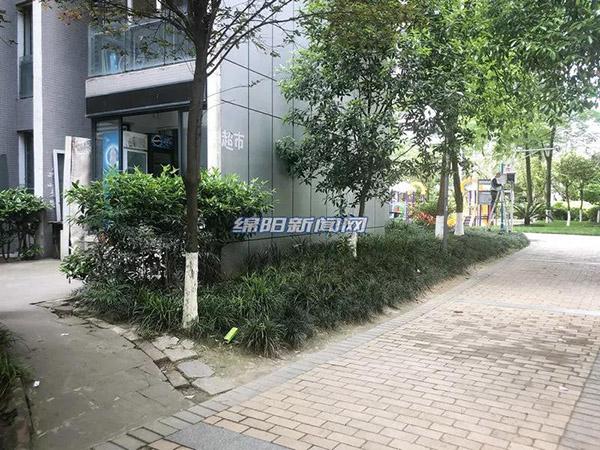 探索新時代的變遷與機遇，最新進出肖動態(tài)報道